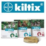 BAYER Kiltix - Obroża dla psów średnich (dł. 53cm)