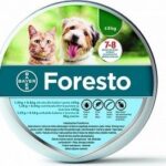 Obroża Foresto przeciw pchłom i kleszczom dla zwierząt poniżej 8kg