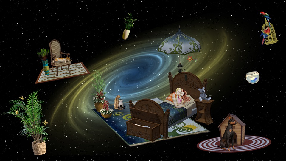 Pies, kot i papuga - jak to połaczyć?